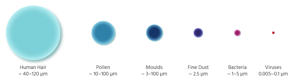 Only HEPA filters with the EU standard H-14 DIN EN 1822 guarantee the filtering of the smallest particles such as viruses and aerosols! Illustration of particles of different sizes, from human hair to 10,000 times smaller viruses